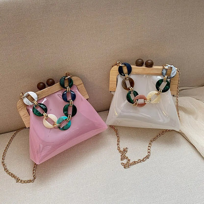 Transparent Shoulder Bag for Women ⎜ Fashionable Bag with Chain Detail and Wooden Clasp